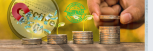 Earn Money