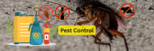 Pest Control