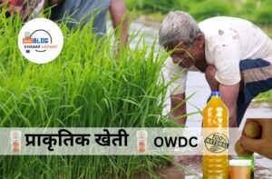 OWDC
