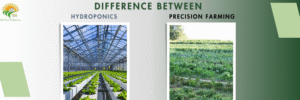 Modern Farming Methods