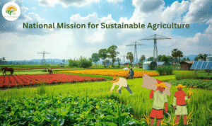 National Mission for Sustainable Agriculture