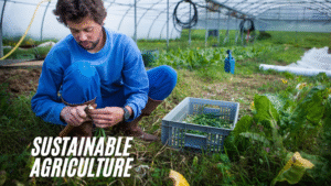 Sustainable Agriculture