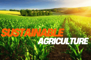 Sustainable Agriculture